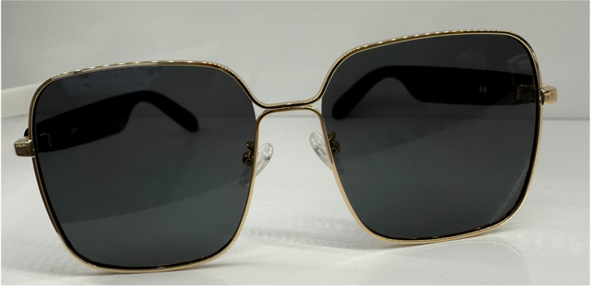 A01-G6 Lunette de Soleil Audio