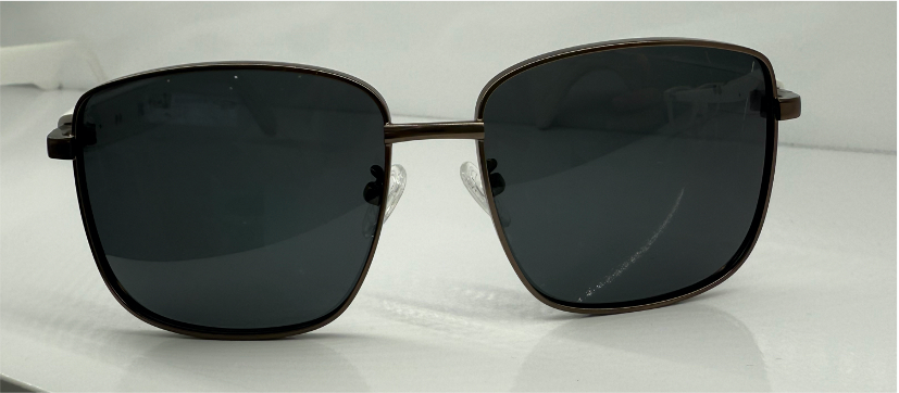 A01-G4 Lunette de Soleil Audio