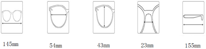 G05-C Lunette de Soleil Sunglasses  (Can be equipped with myopia lenses)