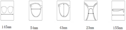 G05-C Lunette de Soleil Sunglasses  (Can be equipped with myopia lenses)