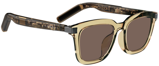 G06-L Lunette de Soleil Grey semi transparent